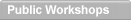 Public Workshops